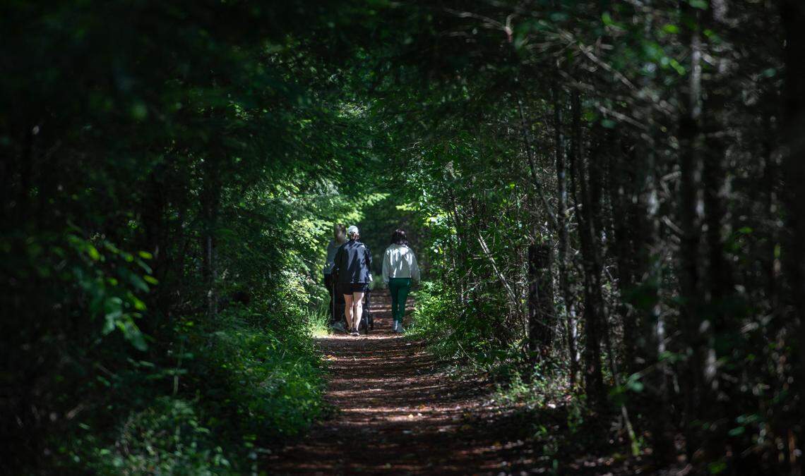 Walkers on the DD-Wilkes Observatory Trail, where a cutoff down a steep hillside takes you to The Cement Ship, a scuttled concrete barge on the beach in DuPont, Washington, on Wednesday, June 5, 2024.