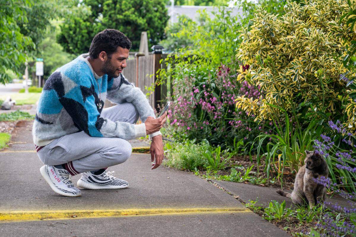 Chris Watson, Tiktoker and founder of the Catluminati, crouches on the sidewalk as he takes a video of “Area Rug Mary” the cat after coaxing her to come out of the bushes in Tacoma, Wash. on July 5, 2022.