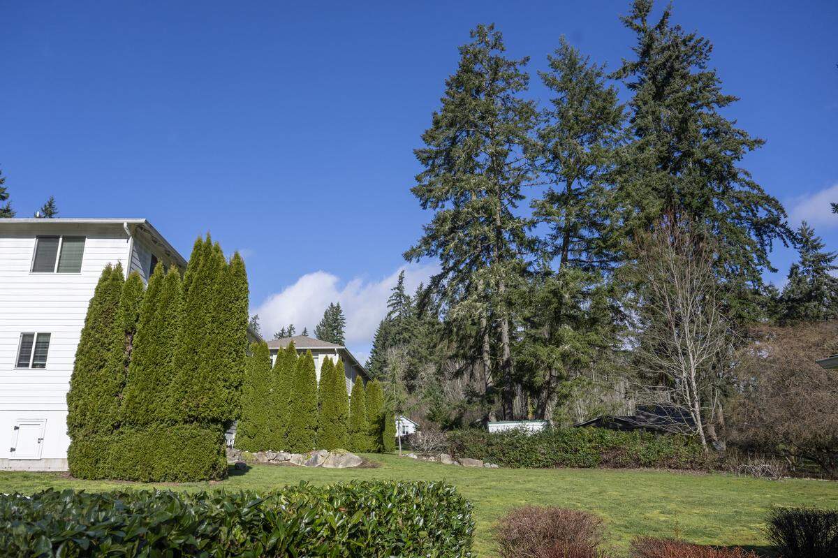 A backyard where a witness saw one of the stabbings take place Tuesday on the 14000 block of 87th Avenue Court Northwest, is pictured on Wednesday, Feb. 25, 2026, on the Key Peninsula.