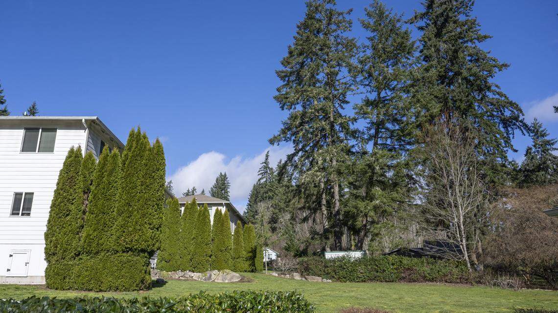 Protection orders came from Purdy stabbing home. What to know about them