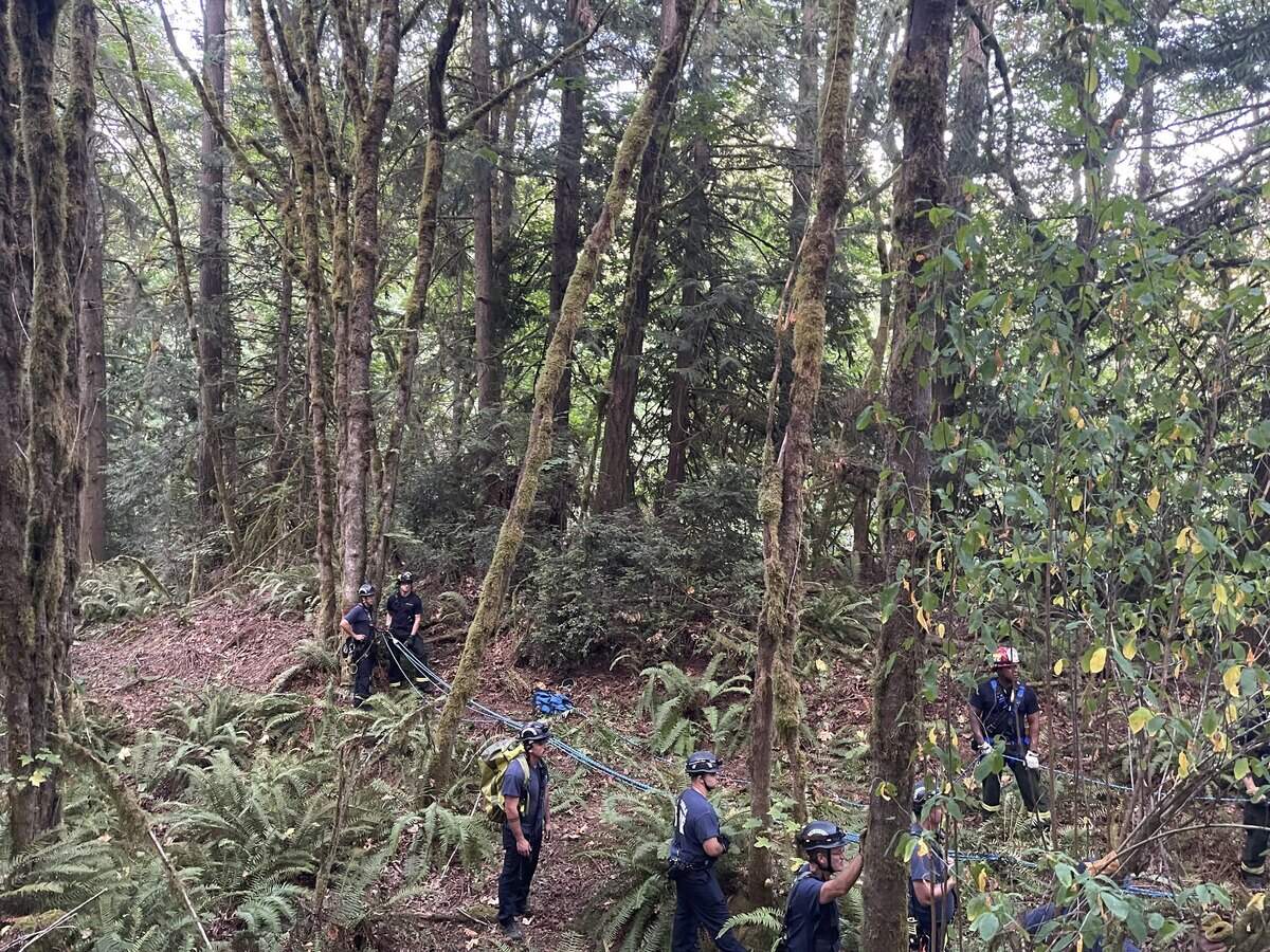 Gig Harbor Fire & Medic One responded to a call that someone had fallen. They called for backup after discovering it was a more complex call and they needed to preform a rope rescue.