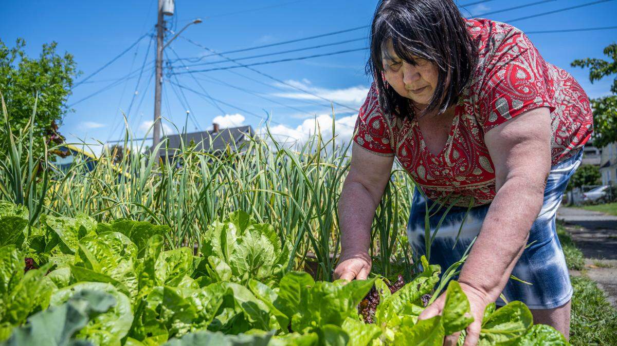 Olga Slutkovskaya works in her garden outside of her home on South 16th Street on Monday, June 6, 2022 in Tacoma. Slutkovskaya has been growing her garden for 20 years and enjoys sharing her food and knowledge from the garden with the neighborhood.