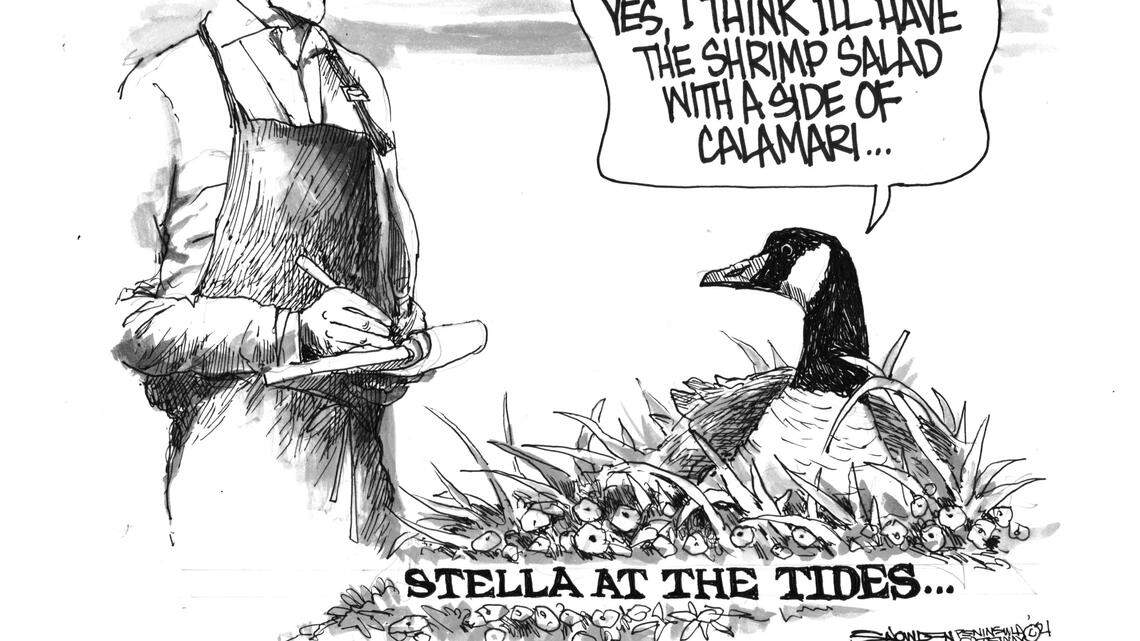 Don Snowden’s cartoon for April 29