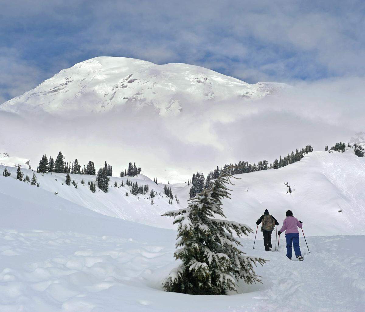 Mount Rainier National Park. Peter Haley / Staff photographer