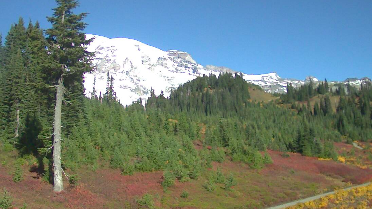 A screenshot Saturday morning from a webcam at Mount Rainier National Park showed the mountain was out. Rainy, cooler days return to Pierce County’s forecast Monday.
