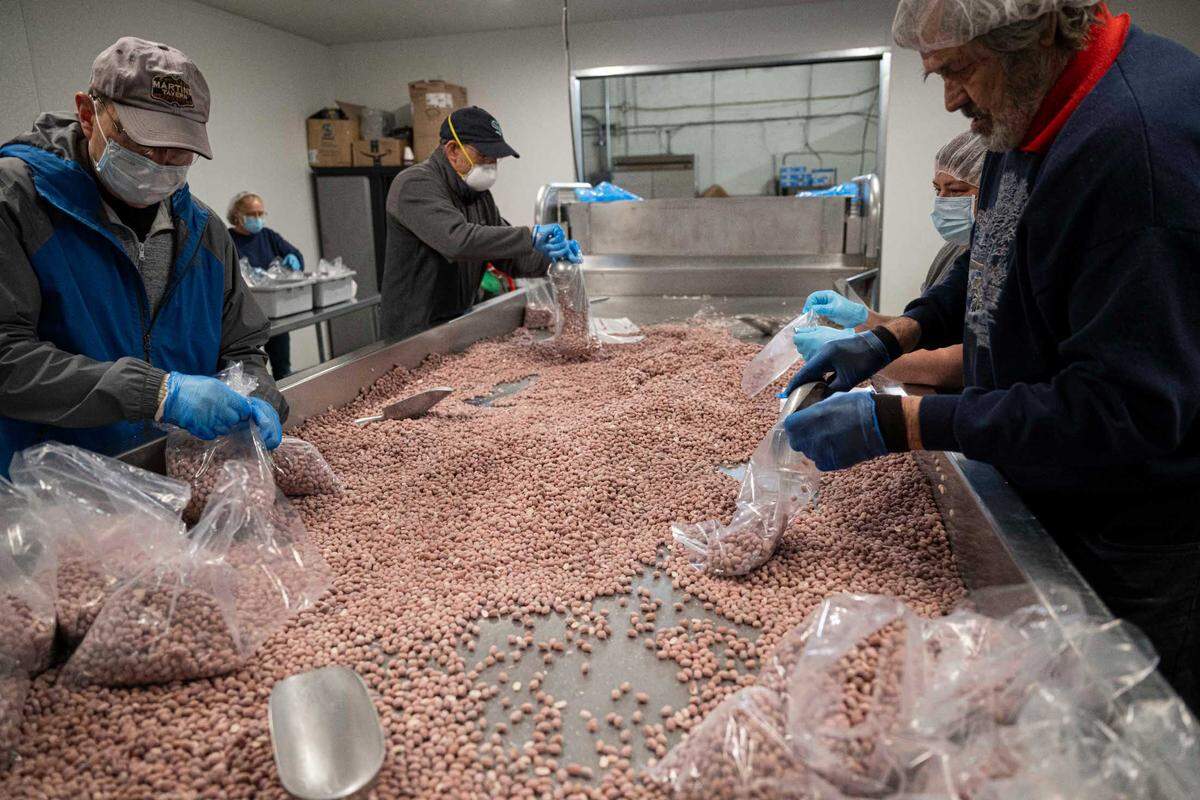Volunteers bag frozen beans at Emergency Food Network, on Thursday, April 25, 2024, in Lakewood, Wash.