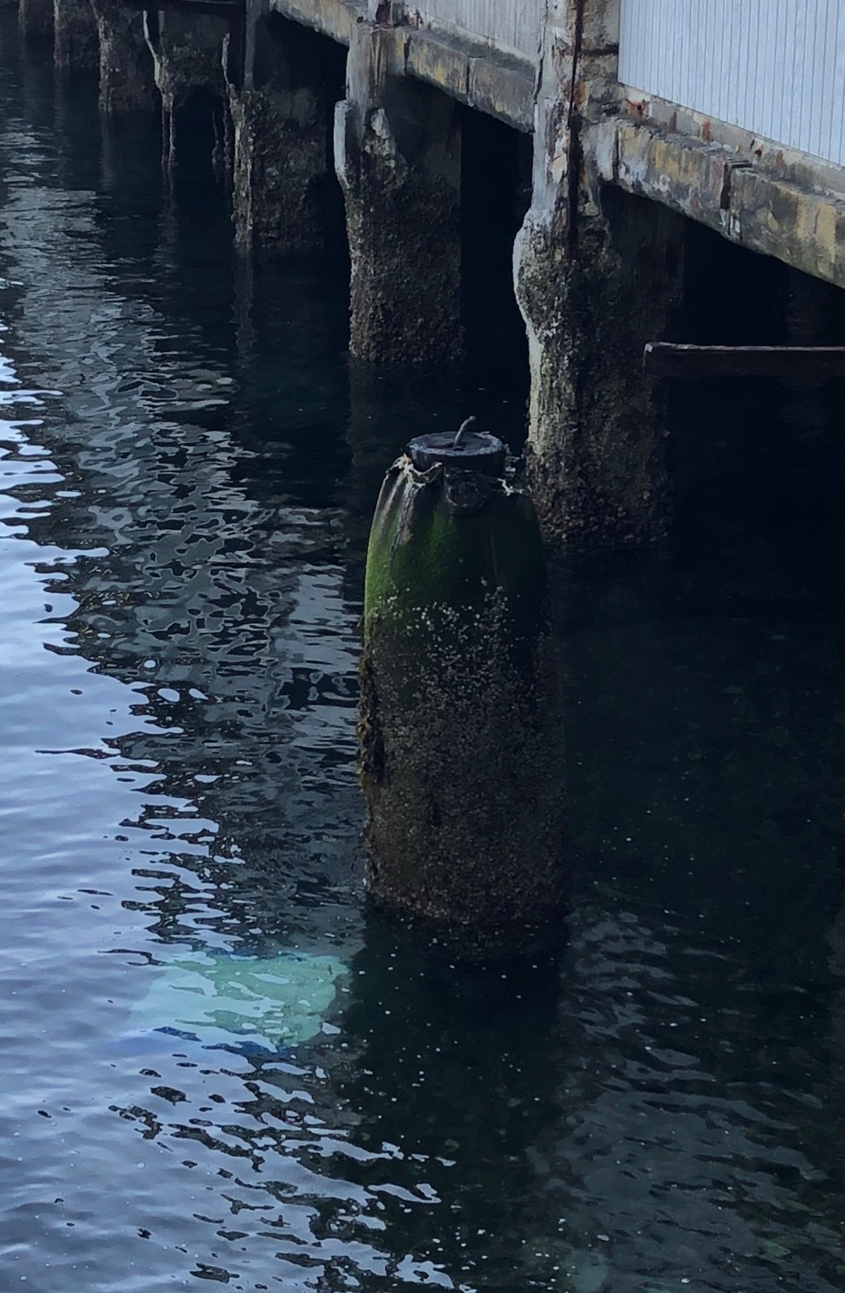 Six of the mural’s panels were tossed in the water, including this one floating by the dock.