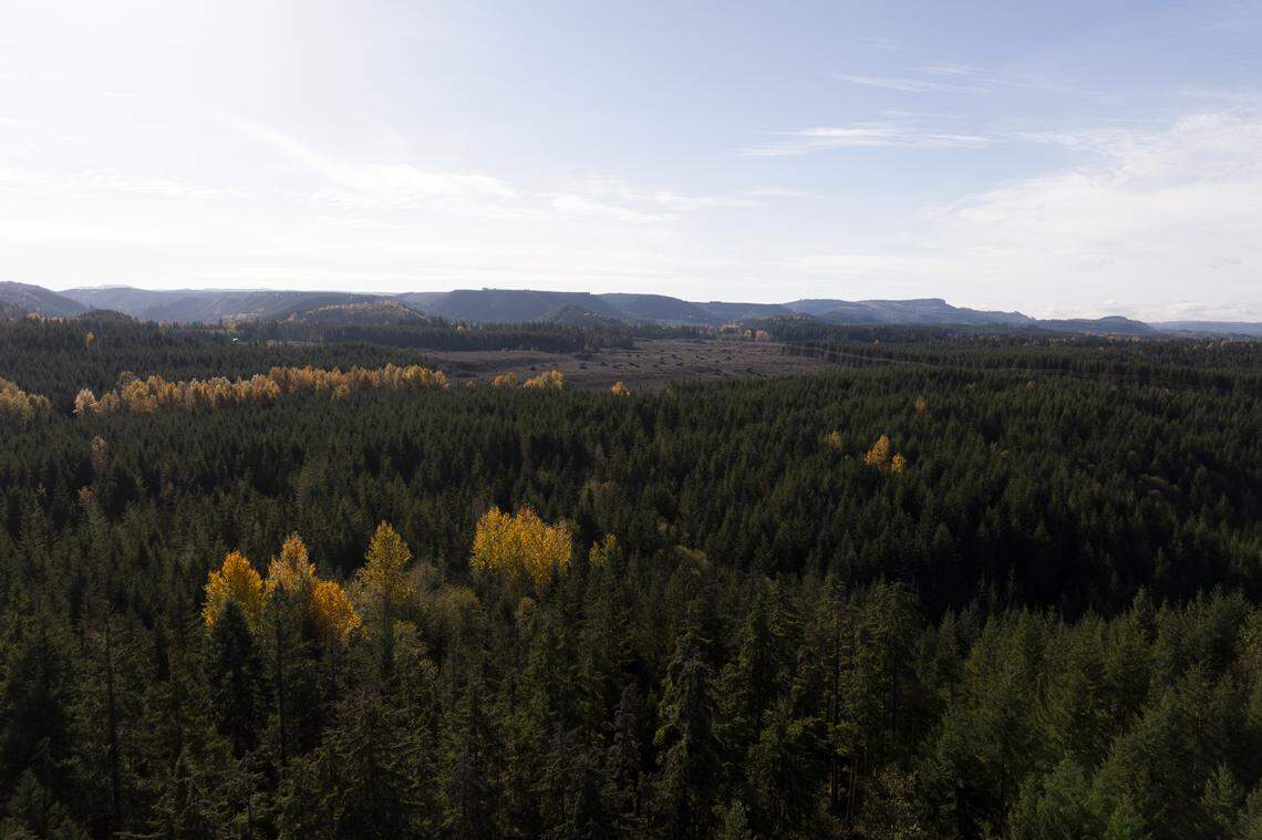 Wilkeson’s Way Forward is an economic development project that would conserve 139 acres of land near the town’s historic coke ovens, on Tuesday, Nov. 11, 2025, in Wilkeson, Wash.