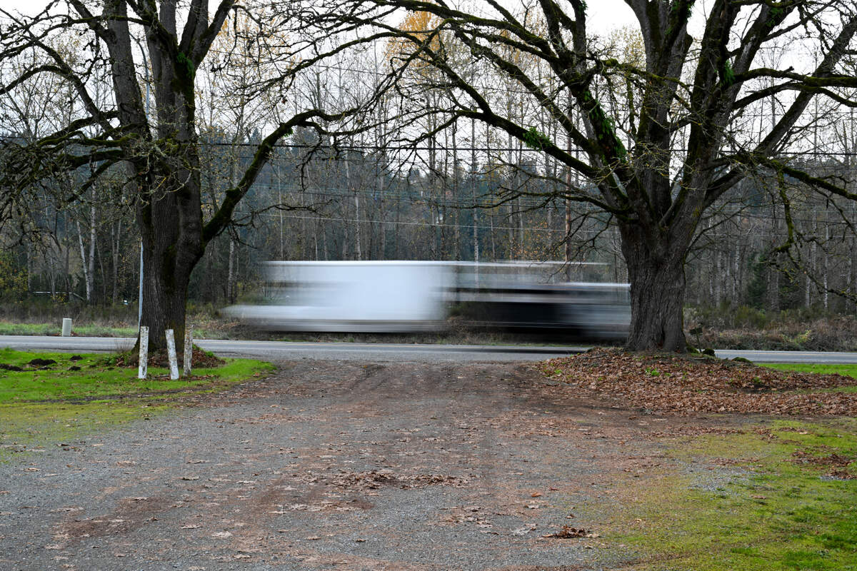 Vehicles drive down WA-162 in front of the McMillin Grange and its 5 oak trees, Tuesday, Nov. 21, 2023, in Puyallup, Wash. A proposed roundabout at WA-162 and 128th St E. intersection would affect the Grange and the nearby neighbors.