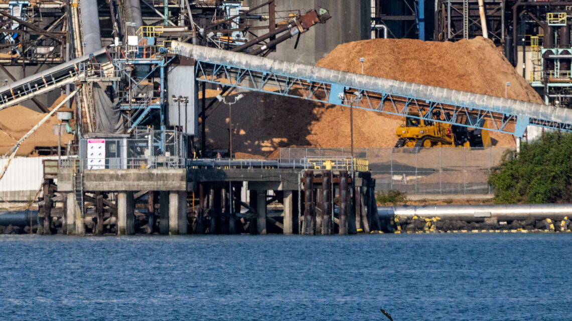 The demise of Tacoma’s paper mill is an opening for the Puyallup River — and salmon | Opinion