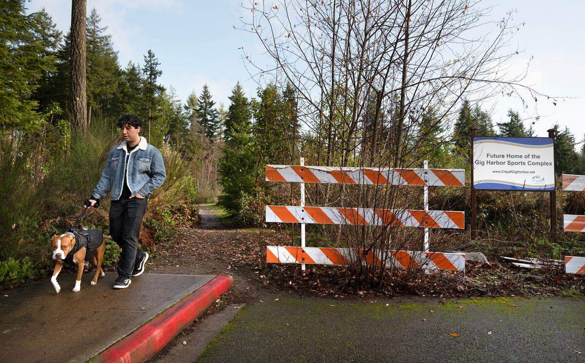Ethan Salazar walks his neighbor’s dog, JD, at the site of the planned Gig Harbor Sports Complex at the end of McCormick Creek Drive in Gig Harbor, Washington, on Tuesday, Dec. 26, 2023.