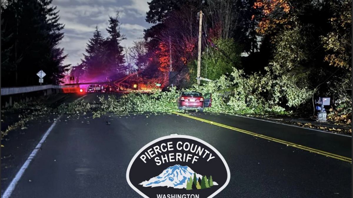 A car hit a downed tree and power lines near Waller Road on Friday night, leaving over 100 people without power.