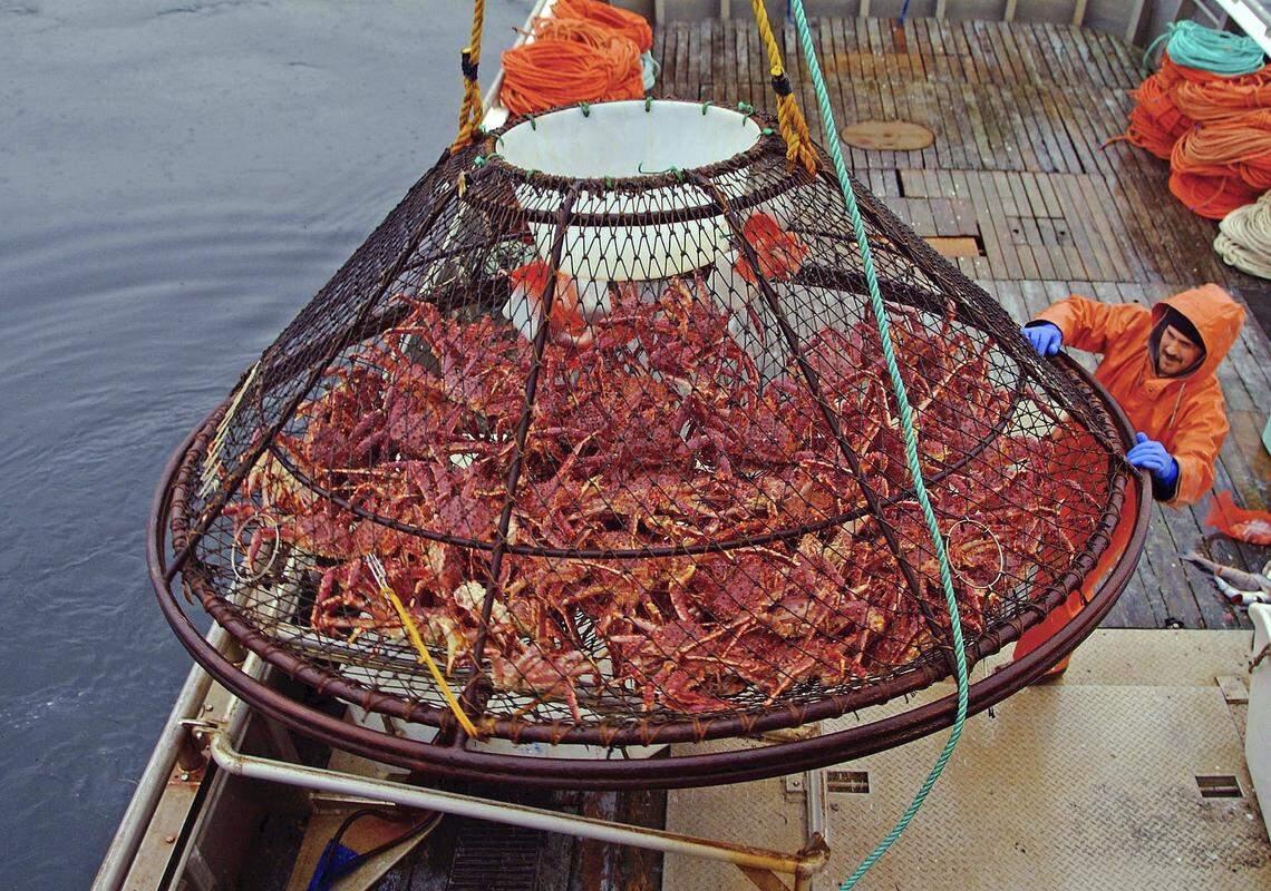 A crab pot full of red king crabs on the deck of fishing vessel off of Juneau, Alaska. (AP Photo/Klas Stolpe, File)