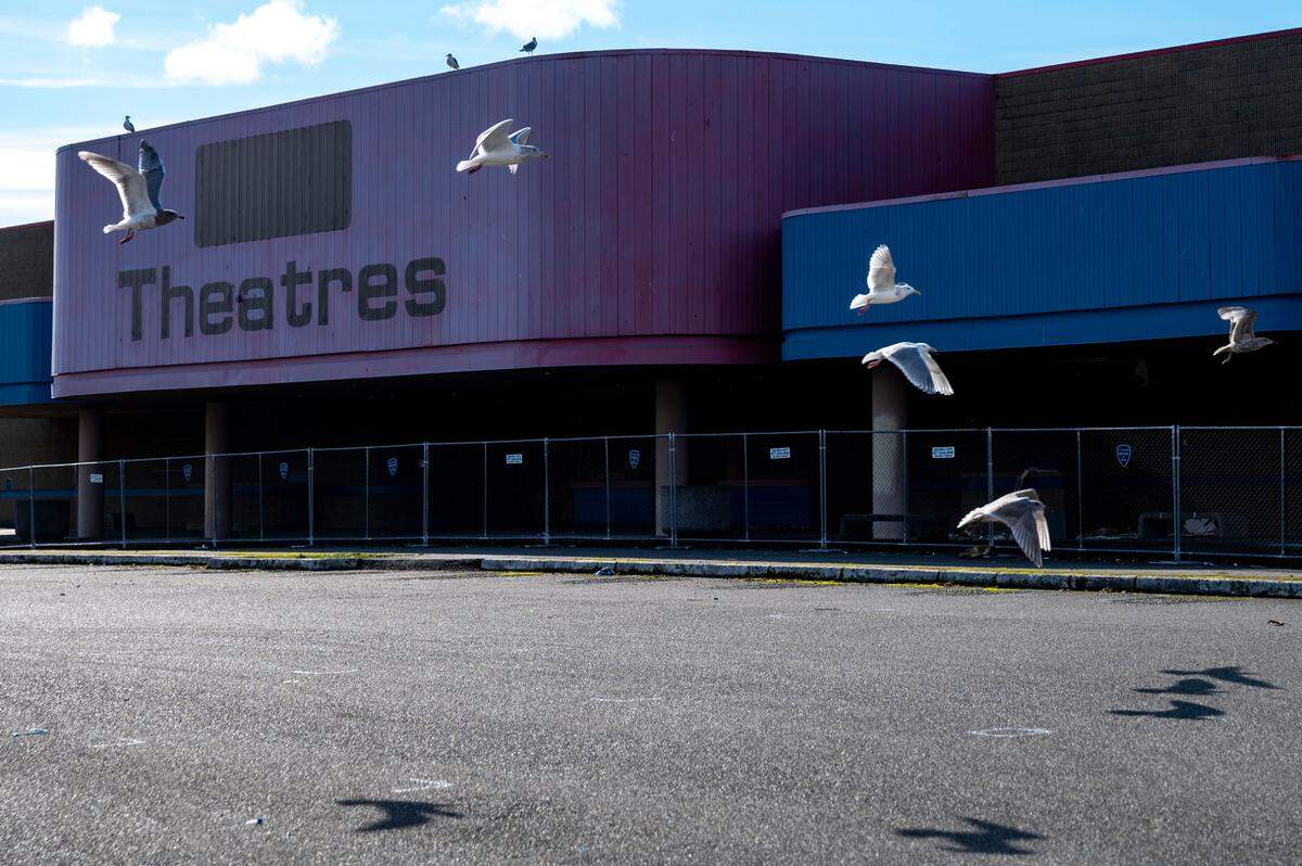 Seagulls fly across an empty parking lot in front of the former home to an AMC movie complex in the 2200 block of Mildred Street West in University Place on Tuesday, Feb. 15, 2022.