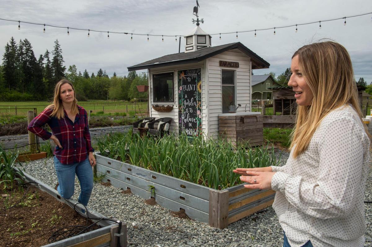 Sisters Venise Cunningham, left, and Belinda Kelly at the Simple Goodness Sisters Farm in Buckley, Wash., home to the original Garlic & Goats Festival. The event returns after being on hiatus for several years, but it’s moved to the family’s Soda Shop restaurant and bar 10 minutes south in Wilkeson.