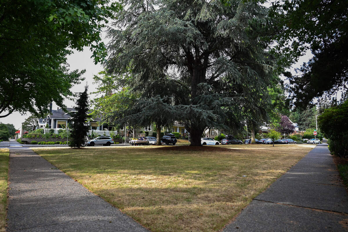 Dr. W. Joye Hardiman Park is pictured on Wednesday, Aug. 21, 2024 in Tacoma, WA.
