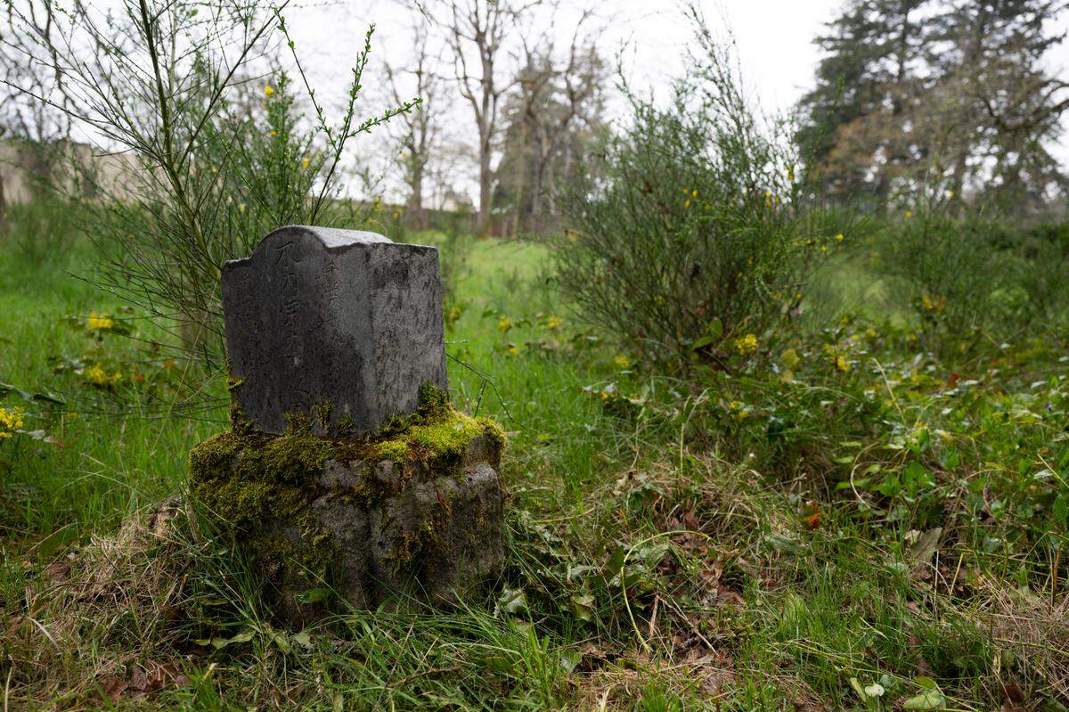 Tombstones are visible in Potter’s Field Cemetery, where more than 1,600 people were buried, on Thursday, April 10, 2025, in Tacoma, Wash.