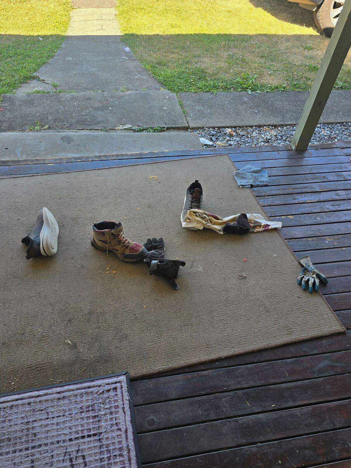 Oakley the cat steals shoes and other items from decks near downtown Puyallup and brings them home. His owner, Mackenzie Kuhnle, posts pictures of the items on social media to try return them.