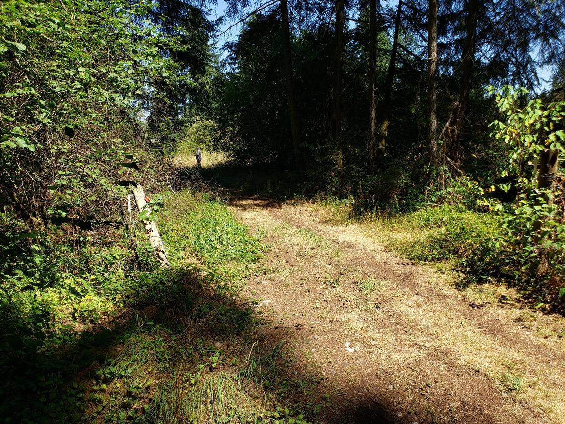 A path leading into the planned site of the Pierce County Village off Spanaway Loop Road near Spanaway.