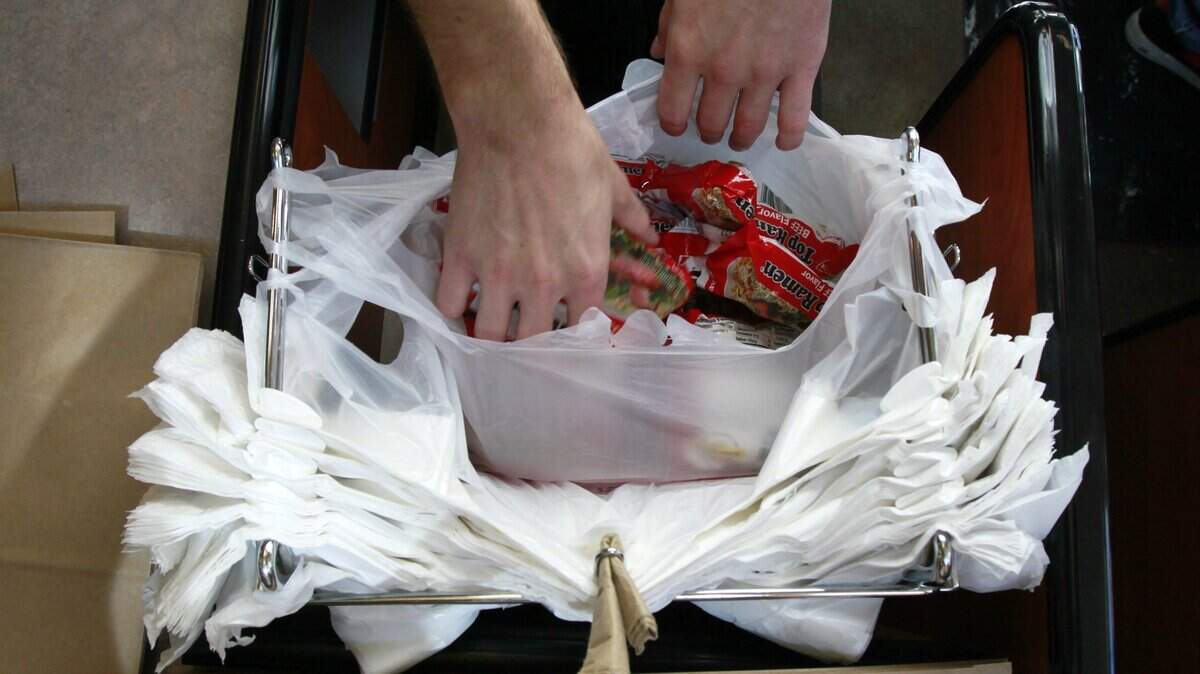 This Aug. 3, 2009 photo shows a clerk bagging groceries in plastic sacks at the M Street Grocery in Seattle. The Gig Harbor City Council voted Monday to ban the distribution of such bags by businesses operating in the city, with a few exceptions.