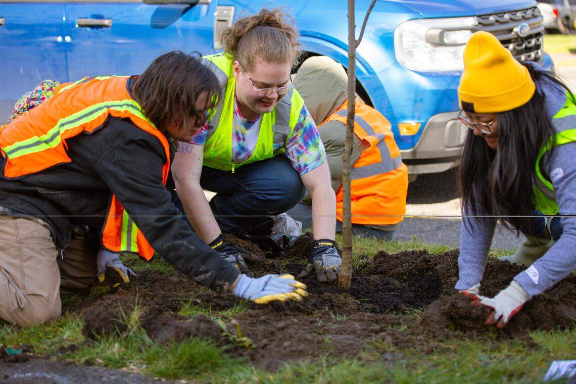 Volunteers smile as they pile mulch on a new tree planted in the Hilltop neighborhood of Tacoma in March 2025.