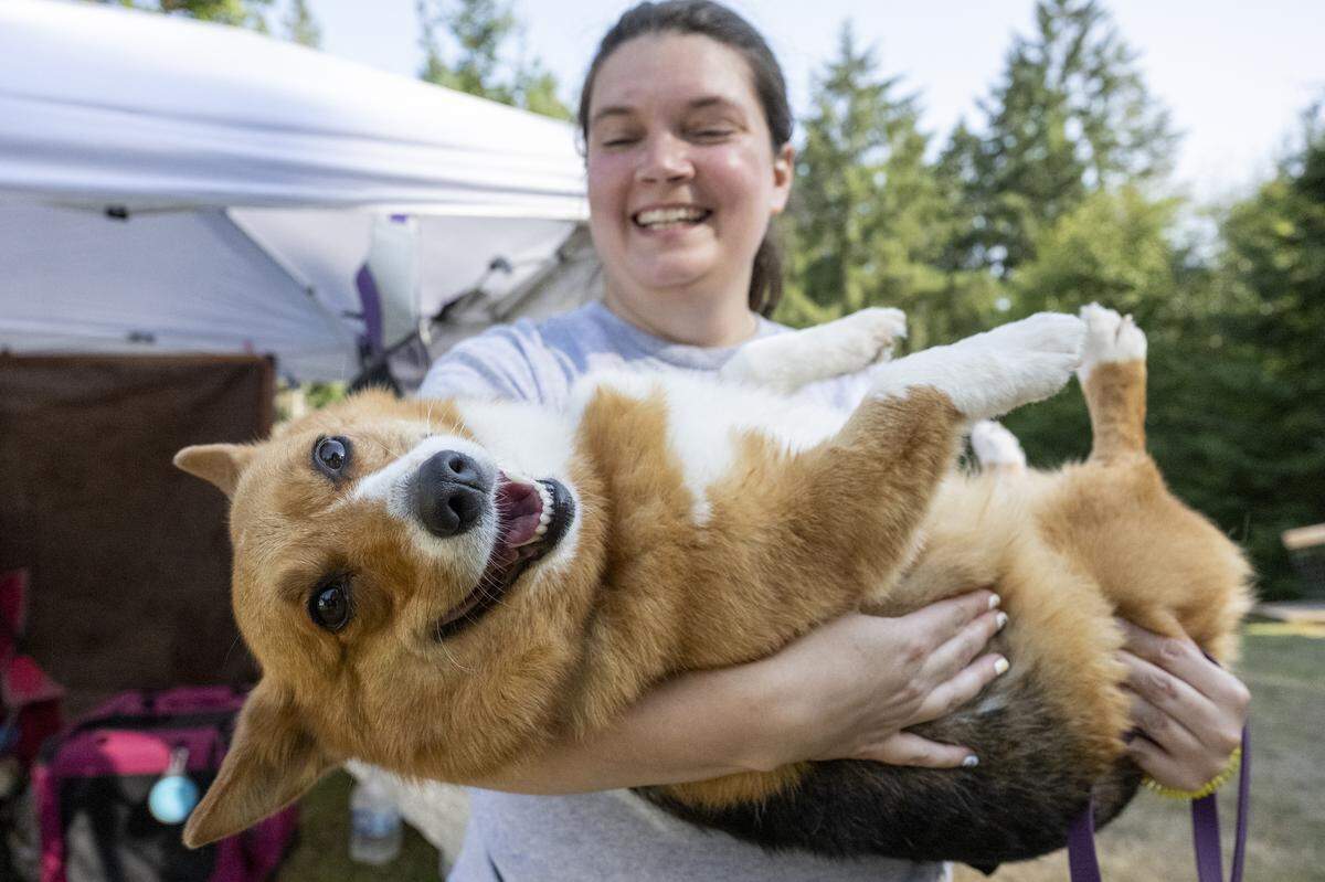 Destinie Buzzard holds Freya, a corgi, after a day of dock diving competitions on Friday, Sept. 12, 2025, at Brown Dog University on the Key Peninsula.