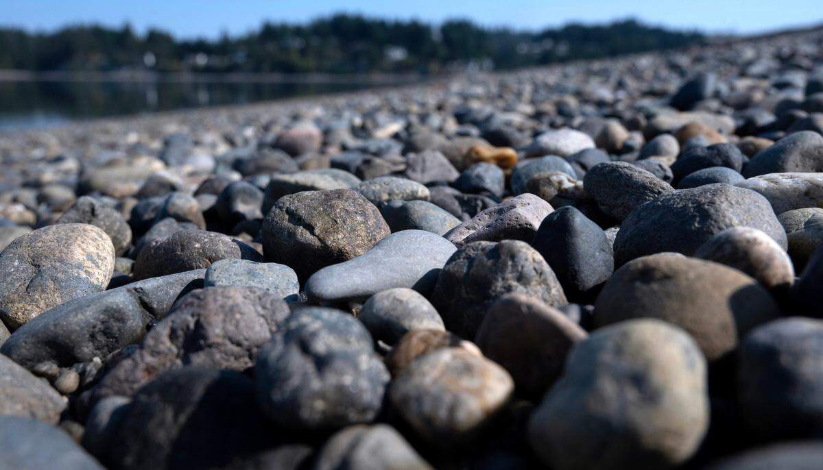 Hiding in plain sight, a “clay baby” lies among the rocks at Tacoma DeMolay Sandspit Nature Preserve on Fox Island, Washington, on Thursday, Sept. 5, 2024.