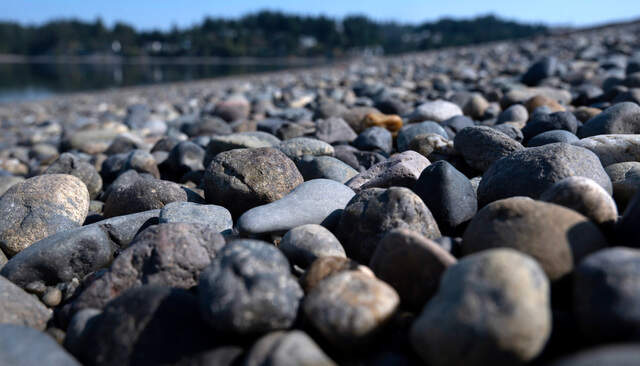 Rare claybaby formations wash up on Puget Sound: here’s why | Tacoma ...