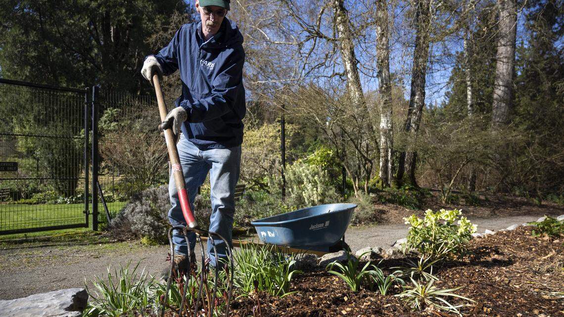 What mulch is right for your garden? Here’s how to choose this spring