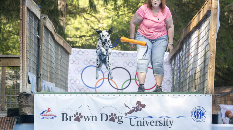 Dogs have fun, bond with owners and make a splash at this Pierce County facility