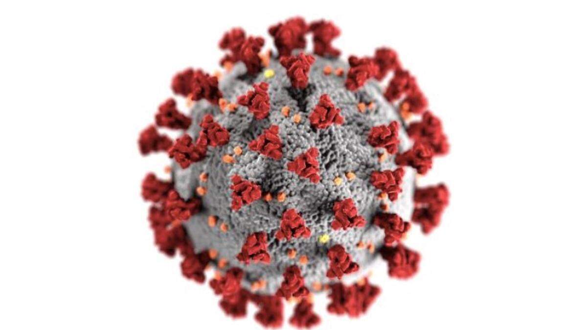 This illustration, created at the Centers for Disease Control and Prevention, reveals the characteristics seen on a micro level of a typical coronavirus. A novel coronavirus is blamed for the global COVID-19 pandemic.