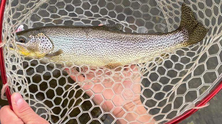 It’s free fishing weekend in Washington state. Here’s how it works