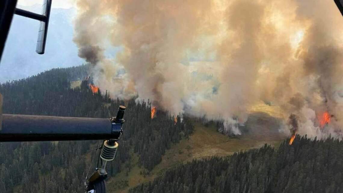 Mount Rainier fire crews are cutting trees at the Sunrise Visitor Center