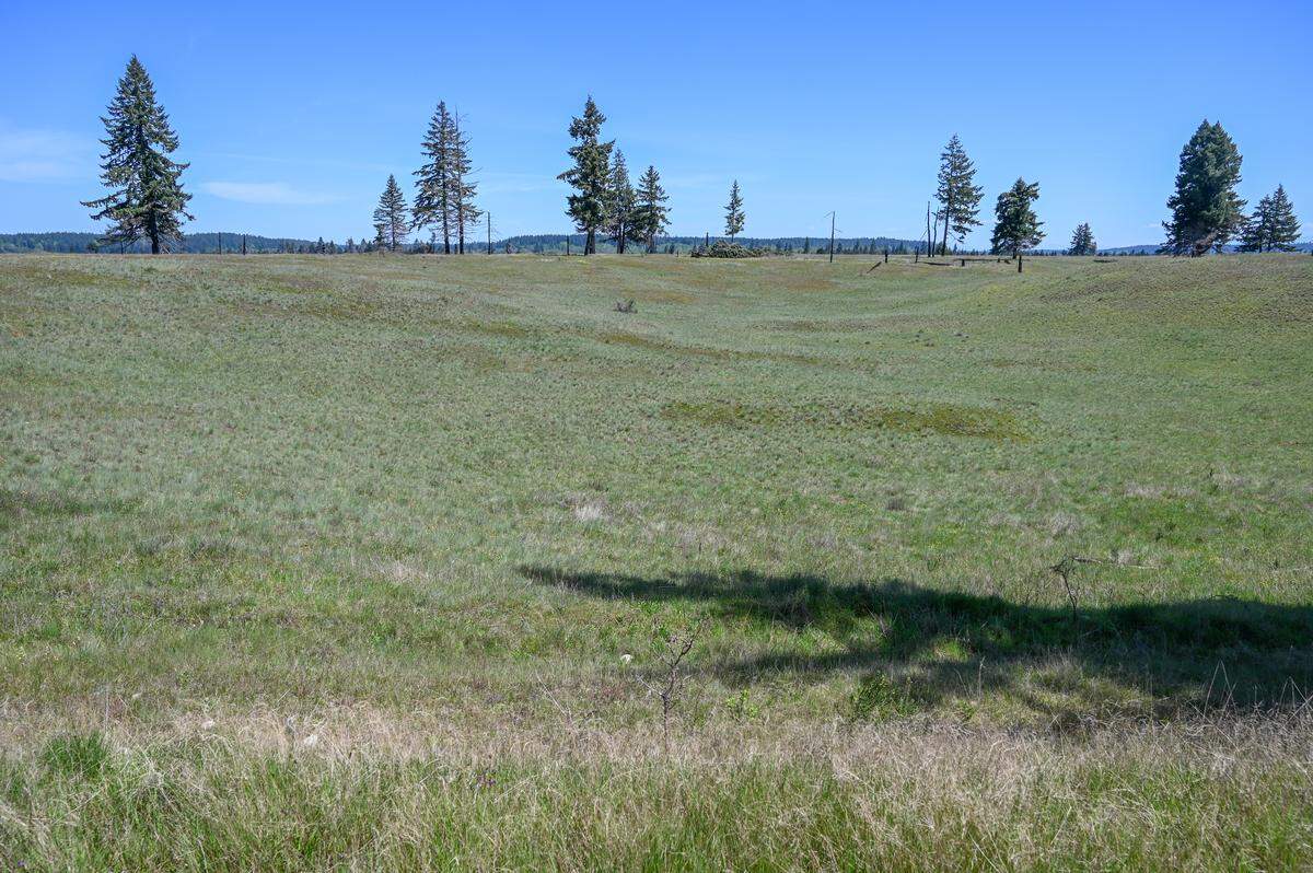 An undeveloped prairie at JBLM, once inhabited and maintained by the Nisqually people.