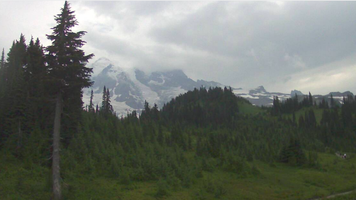 Mount Rainier was only partially showing itself Saturday afternoon, as seen in this mountain webcam still.