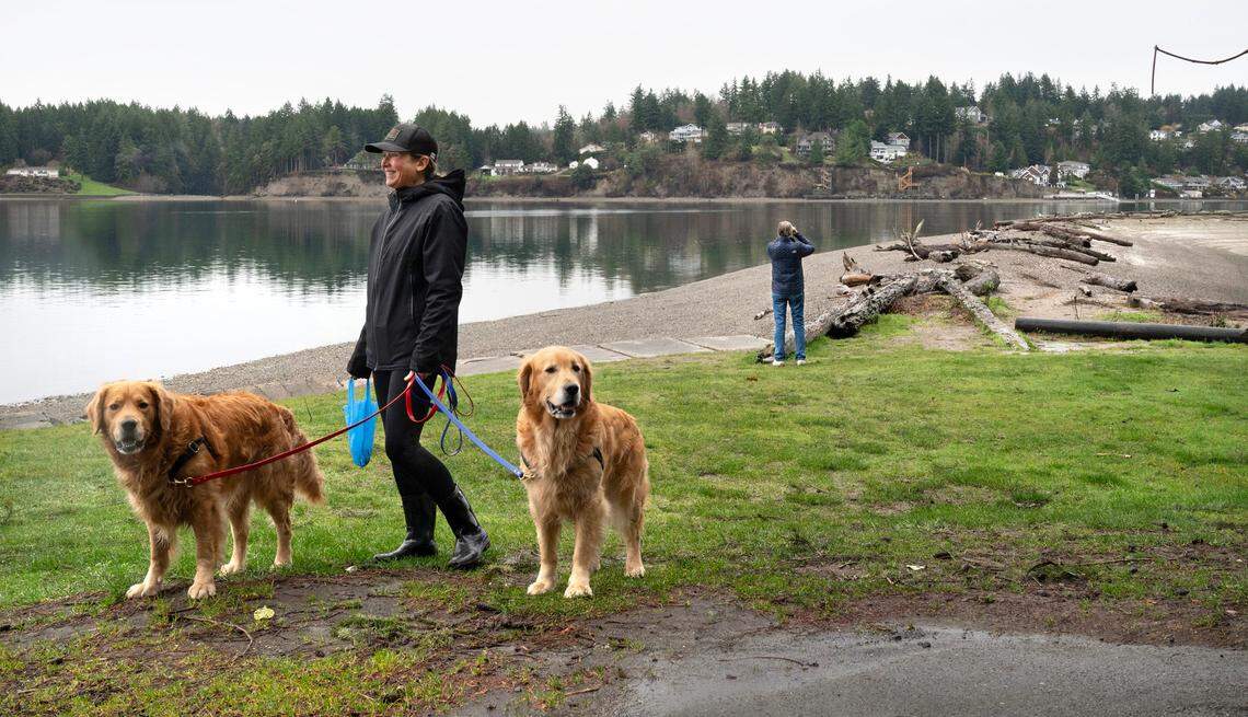 Beth Kilcup of Gig Harbor walks her dogs, Red and Blue, as Terry Mace (background) looks for birds at DeMolay Sandspit Park on Fox Island, Washington, on Wednesday, Feb. 21, 2024. PenMet Parks has plans for improvements to the park that some in the area worry could lead to a decline in wildlife that thrives in the woods, beach and sandspit.