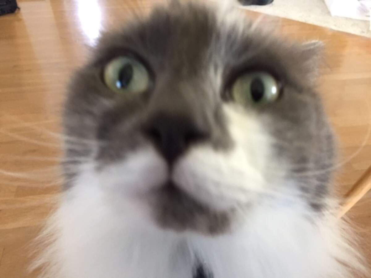 Kona