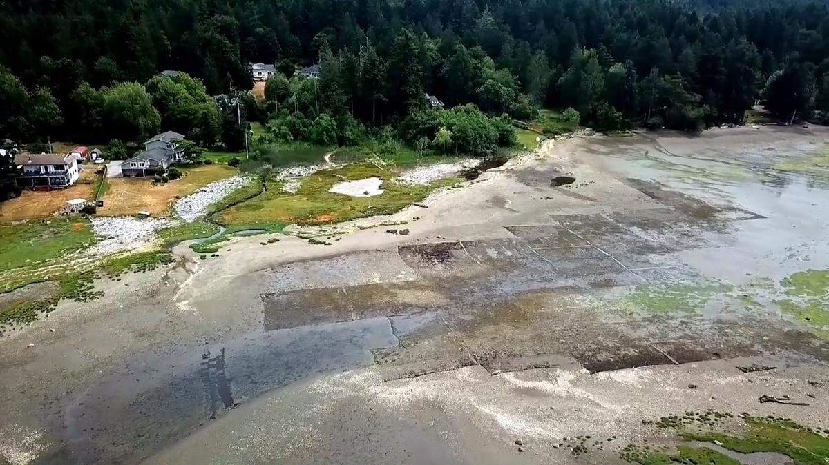 A view from above shows the northeast tidelands of Burley Lagoon in 2021.