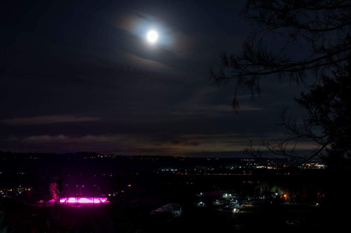 The DeGoede Farms LED lit greenhouse glows pink the morning hours on Friday, March 18, 2022, in Sumner, Wash.