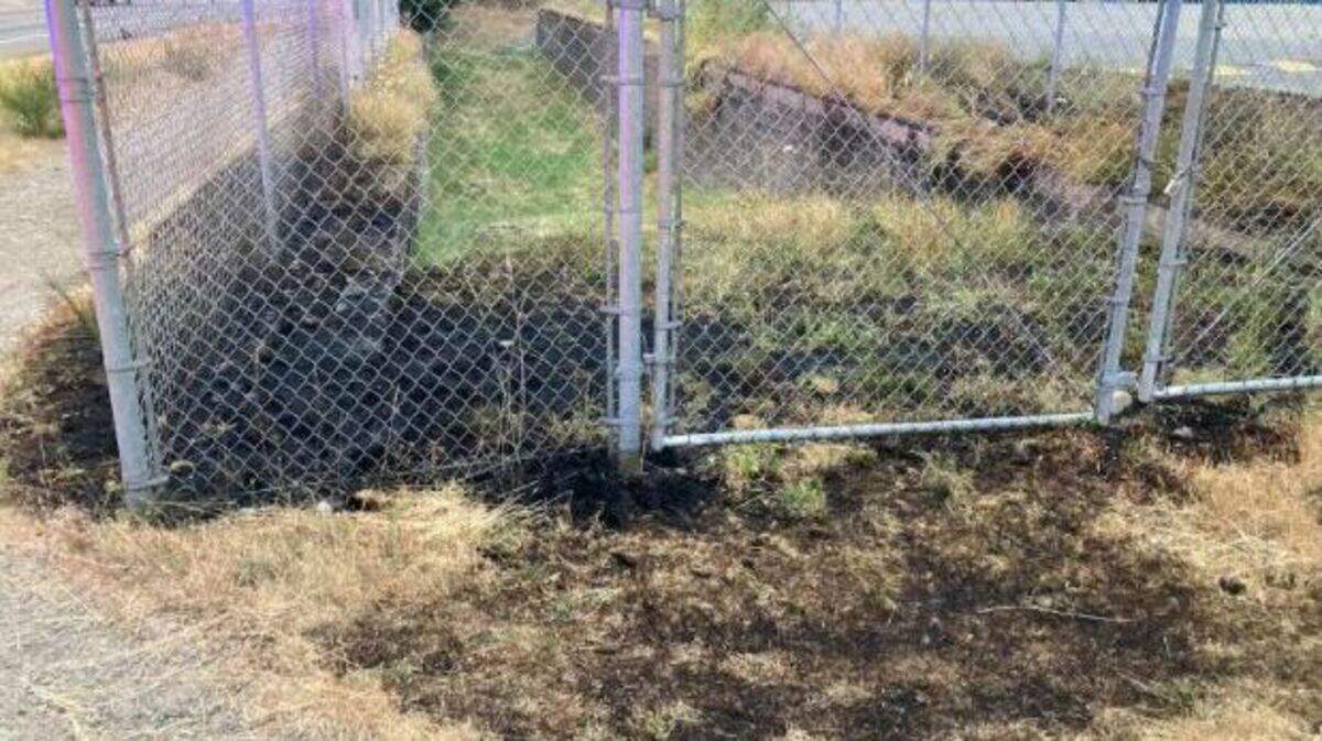 A man is suspected of two small fires on a strip of grass along state Route 7 in Spanaway.