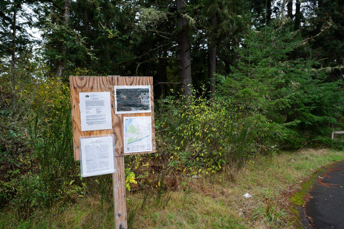 The proposed site where a 256,800 sq ft office/warehouse building would be built on about 19.65 acres of vacant land on the west side of Sequalichew Drive, on Tuesday, Oct. 8, 2024 in DuPont, Wash.
