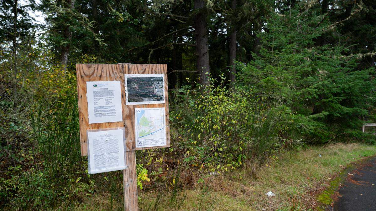 The proposed site of a 256,800-square-foot office/warehouse building on about 19.65 acres of vacant land on the west side of Sequalichew Drive, on Tuesday, Oct. 8, 2024 in DuPont.