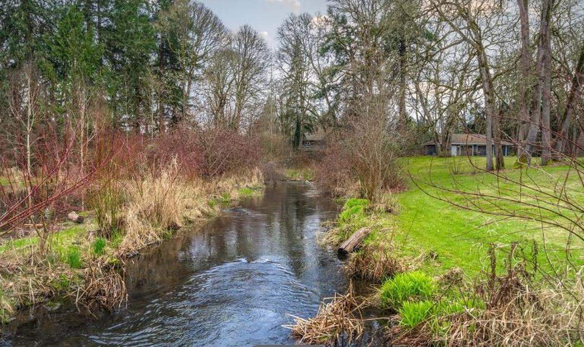 Chambers Creek flows from Spanaway Lake to Tule Lake through the Gonyea property and fills a pond on the estate.