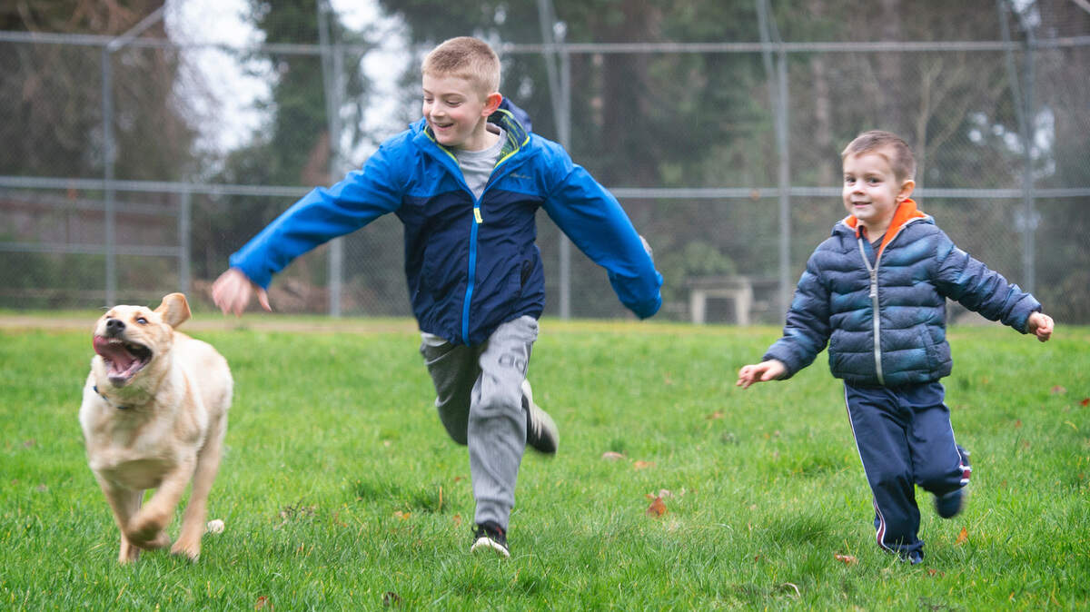 Caleb Bolton and his little brother, Cooper Bolton sprint through the grass with their family’s new Labrador puppy, Ripley, at Allan Yorke Park in Bonney Lake, Washington, on Wednesday, Dec. 22, 2021.