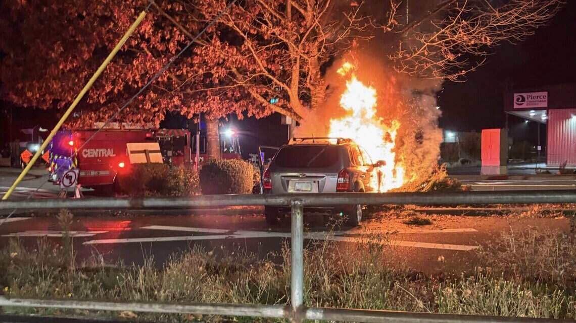 Bystanders rescue driver from burning car after crash into tree in Puyallup