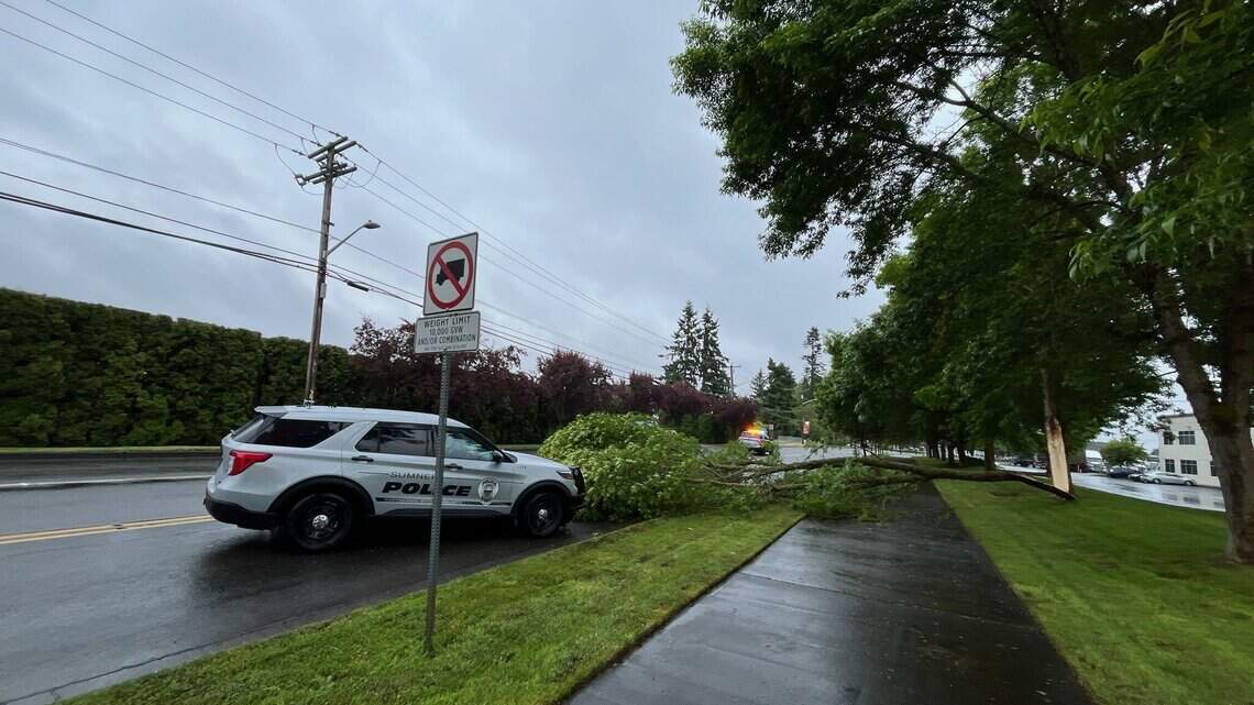 Downed tree blocking road in Sumner Saturday morning — city asks for patience