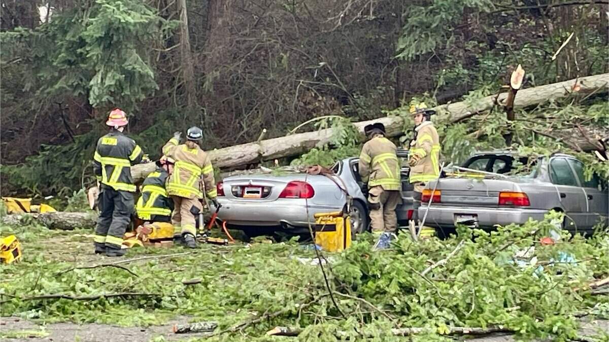 A tree fell on an occupied vehicle in the 4700 block of South 48th Street in Tacoma Tuesday.