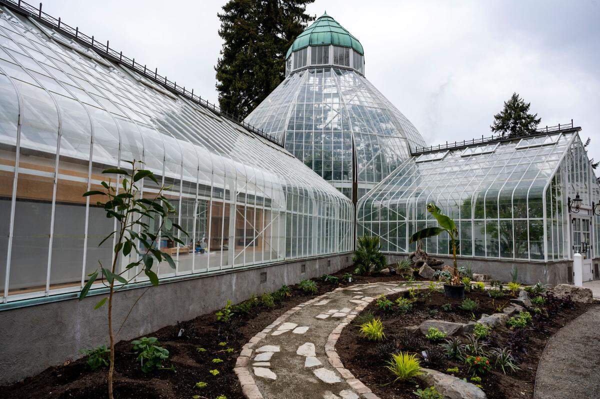 The Seymour Conservatory is seen while under a renovation on Thursday, March 31, 2022, at Wright Park in Tacoma, Wash.