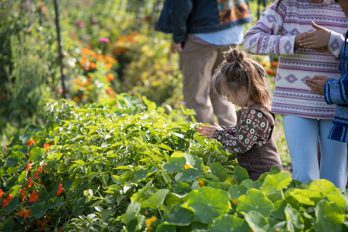 Food Backpacks 4 Kids leases Creviston Valley Farm in Longbranch to grow food and host farming and agricultural learning opportunities for families.