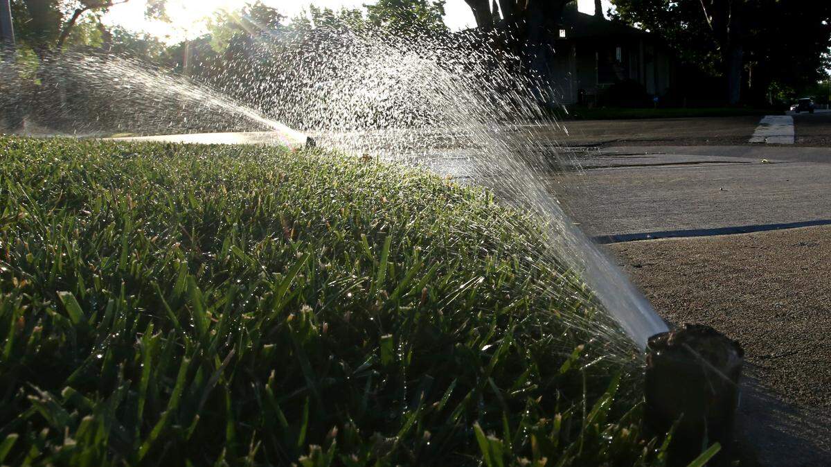 Cool-season lawns in our area thrive on 1 inch of water a week.